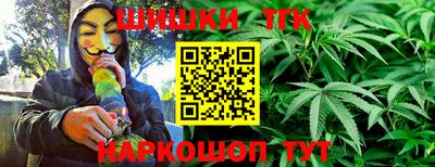 индика Первоуральск