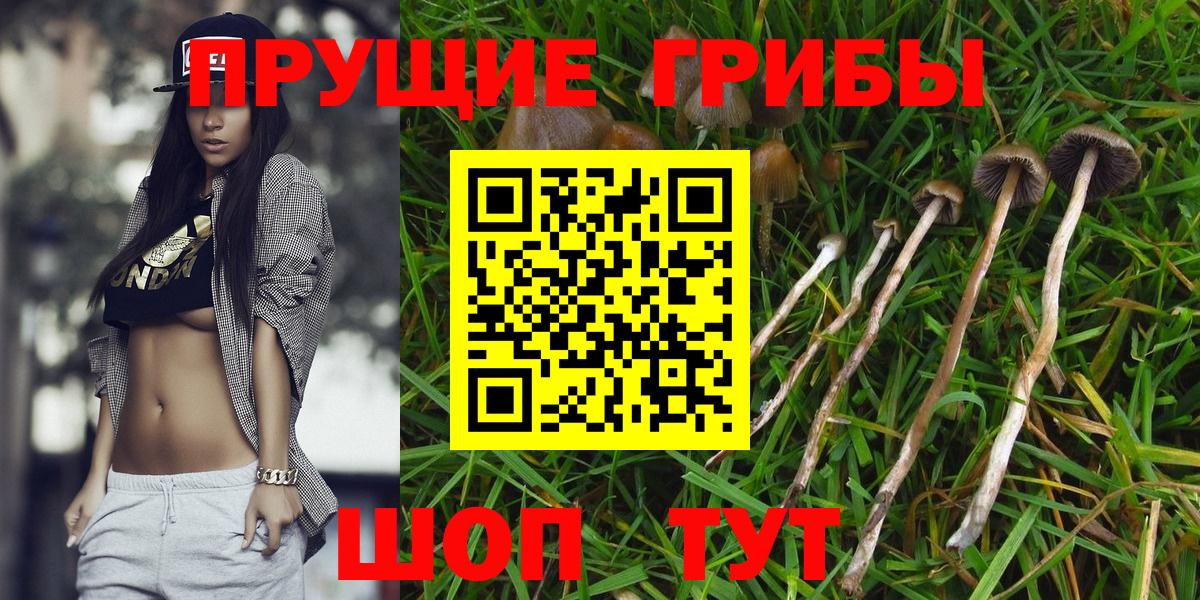 Псилоцибиновые грибы мухоморы Пушкино